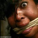 ebony_bondage_hogtied2.jpg